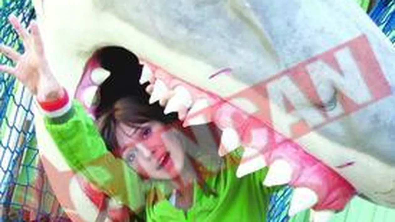 Dana Rogoz, pericol in Germania