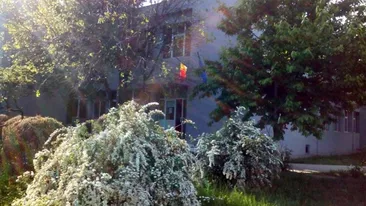 Caz rarisim la Bacalaureat! Ce notă a primit, după contestație, un elev din Voluntari care picase BAC-ul cu 5.96