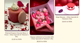 Galerie foto - poza 1