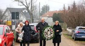 Galerie foto - poza 2