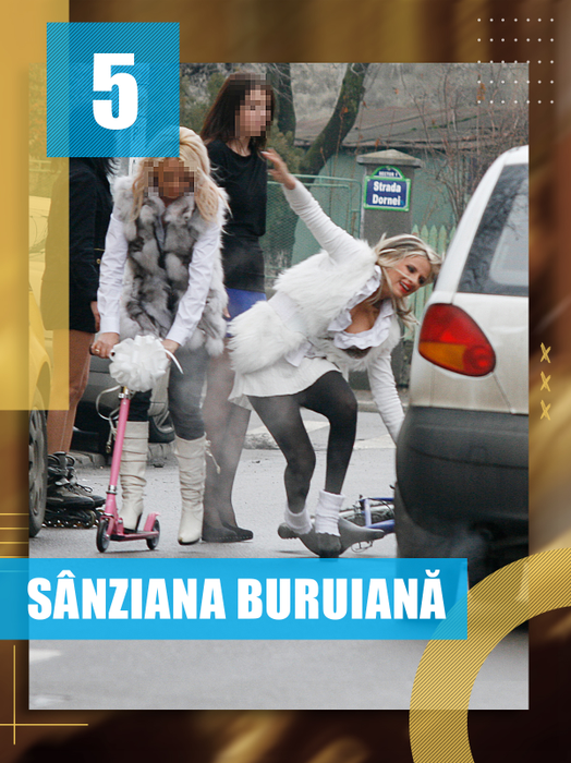 Cel mai disputat TOP prezentat de CANCAN.RO: Inna, Oana Zăvoranu, Marina Dina… Au dat cu fundulețul de pământ!