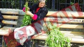Romanii au sarbatorit Floriile la iarba verde