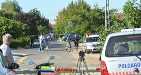 Galerie foto - poza 3