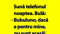 BANC | Sună telefonul noaptea. Bulă: Bubulino, dacă e pentru mine, nu sunt acasă