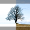 Vremea se schimbă radical în această iarnă. Fenomenul care îi îngrijorează pe meteorologi