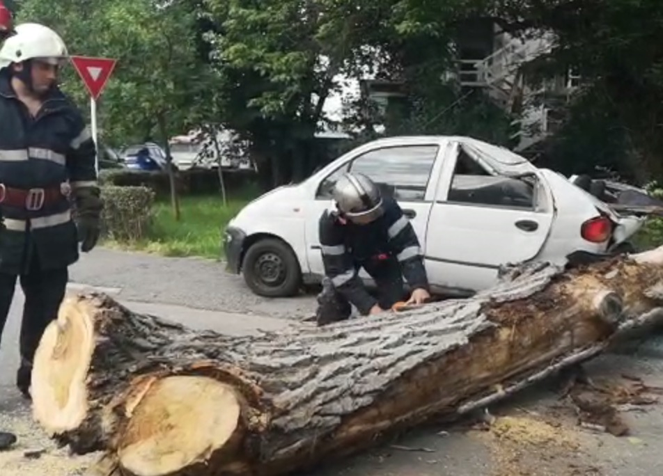 Trei dintr-o lovitură! Un copac imens s-a prăbuşit în această dimineaţă într-o parcare din Argeş peste trei maşini staţionate în zonă. VIDEO