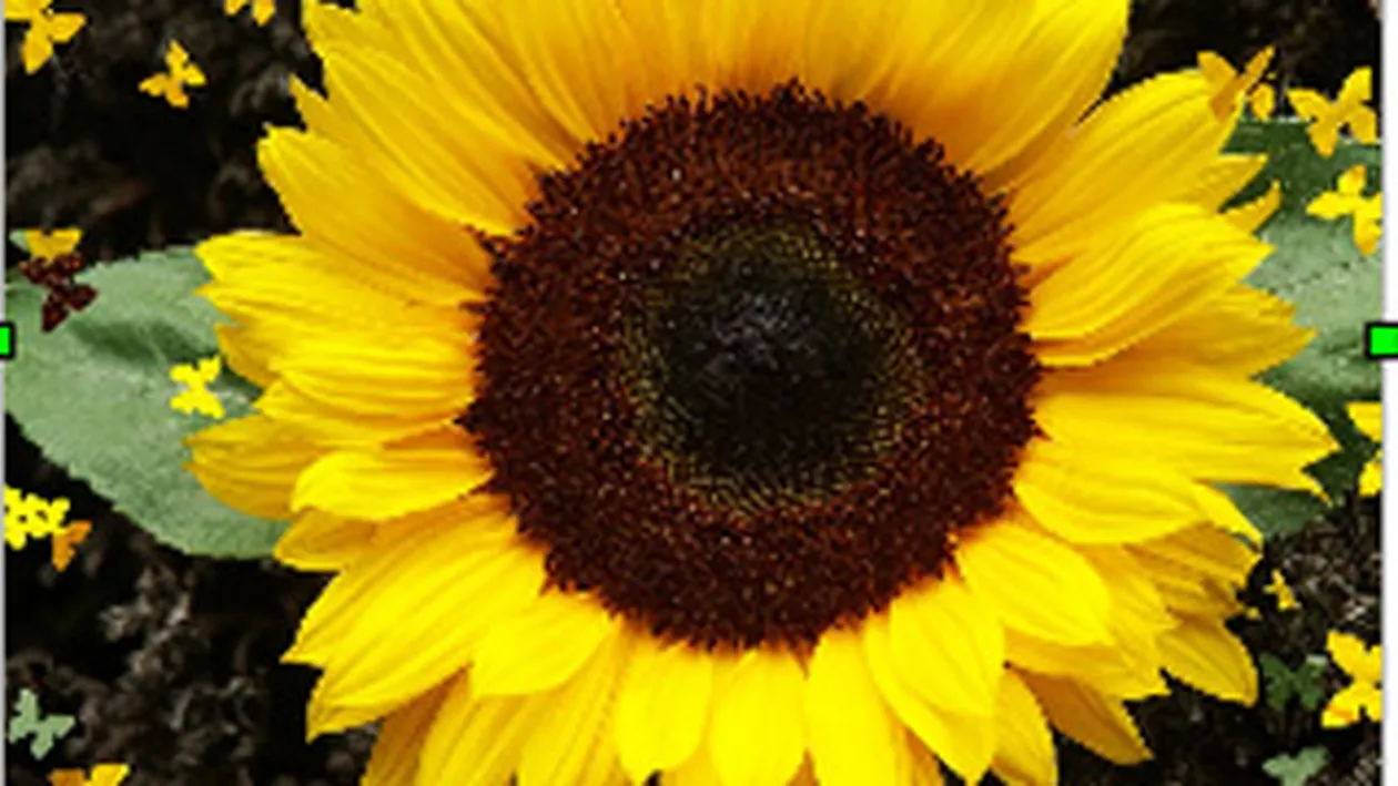 Anul 2012 a inceput! (P 33) Puterea de a rezista!