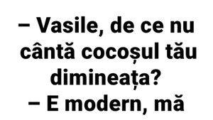 BANCUL ZILEI | "Vasile, de ce nu cântă cocoșul tău dimineața?"