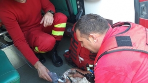 Un pompier din Bistrița a salvat un iepure dintr-un incendiu. I-a pus o mască de oxigen pentru a putea respira