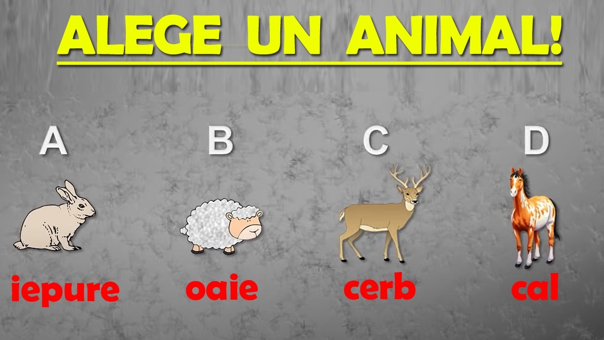 TEST PSIHOLOGIC | Ce animal ai salva, dacă ar veni Apocalipsa?