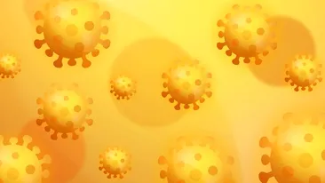 Un nou focar de coronavirus. Cel puțin 38 de oameni sunt infectați într-un cămin de bătrâni din Baia Sprie