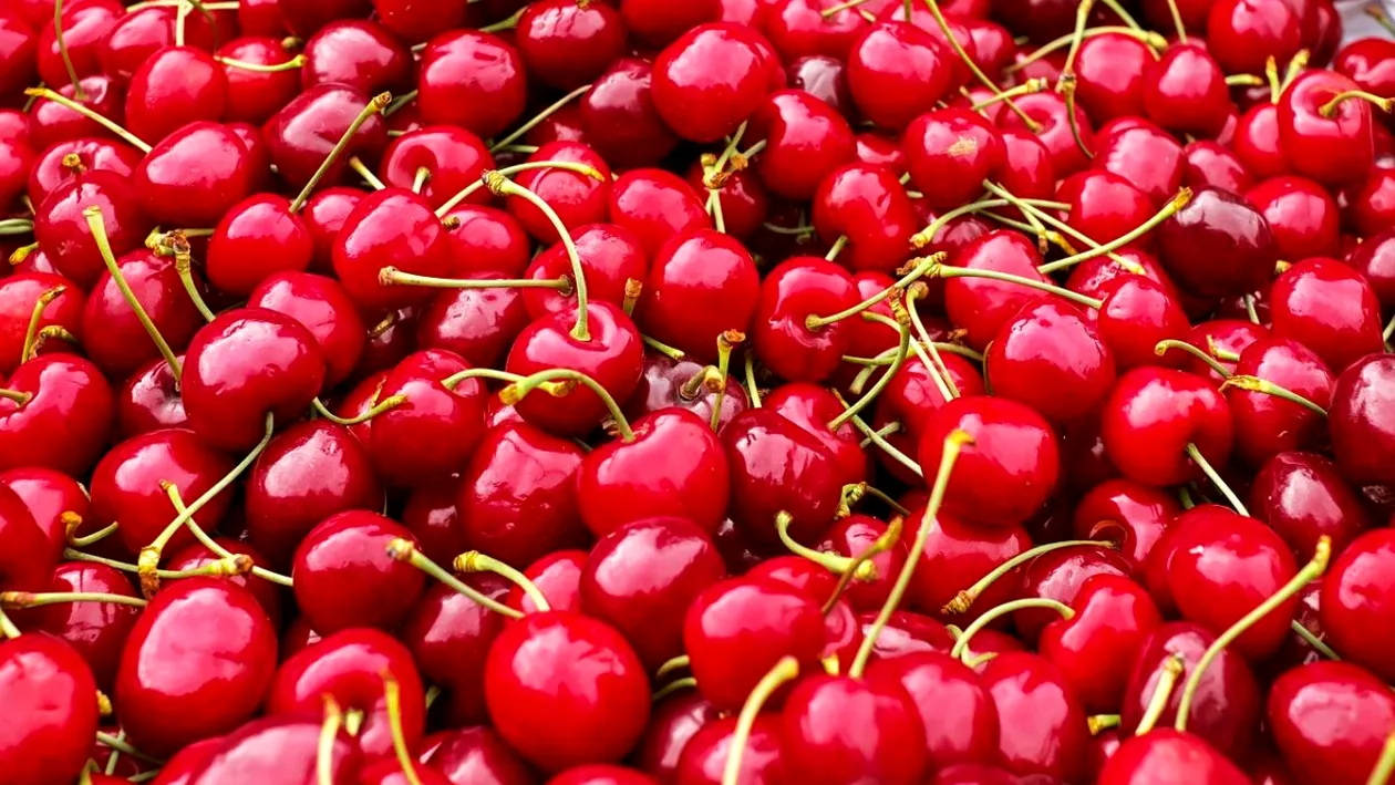 Va fi „fructul-vedetă” al sezonului! Cât va costa un kg de cireșe românești la tarabele din piață, în mai 2023