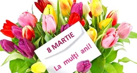 Galerie foto - poza 3