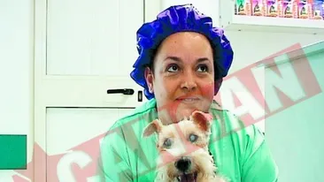 Catelusa Zaza, operata la ochi cu laserul