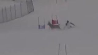 VIDEO Un schior s-a intalnit cu un cerb pe partia pe care se antrena!