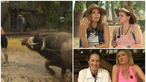 Acuzaţii de "blat" la Asia Express. Concurentele au izbucnit la Antena 1: "Normal că le-a dat lor"