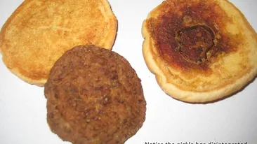 Experimentul care te va face să te gândeşti de două ori la ce mănânci! Cum arată un hamburger cumpărat in anul 1999