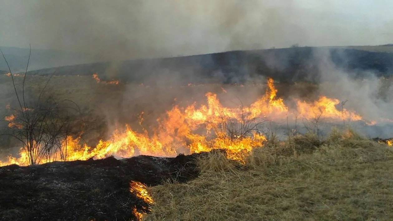 Incendiu puternic la marginea Reșiței, 150 de case în pericol. Culmea, localnicii fac selfie-uri | VIDEO