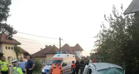 Galerie foto - poza 1