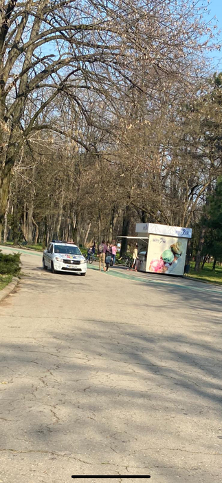 Imagini halucinante. Bucureștenii au ieșit la picnic în Herăstrău: Și-au scos măsuțele la „iarbă verde”!