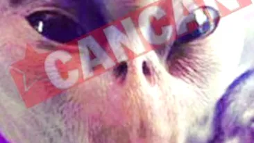 Cer Guvernului teren pentru o ambasada intergalactica