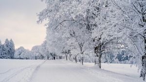 Când vin ninsorile în România, potrivit ANM. Sărbători cu temperaturi neobișnuite