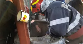 Galerie foto - poza 3