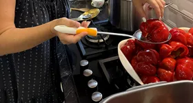 Galerie foto - poza 3