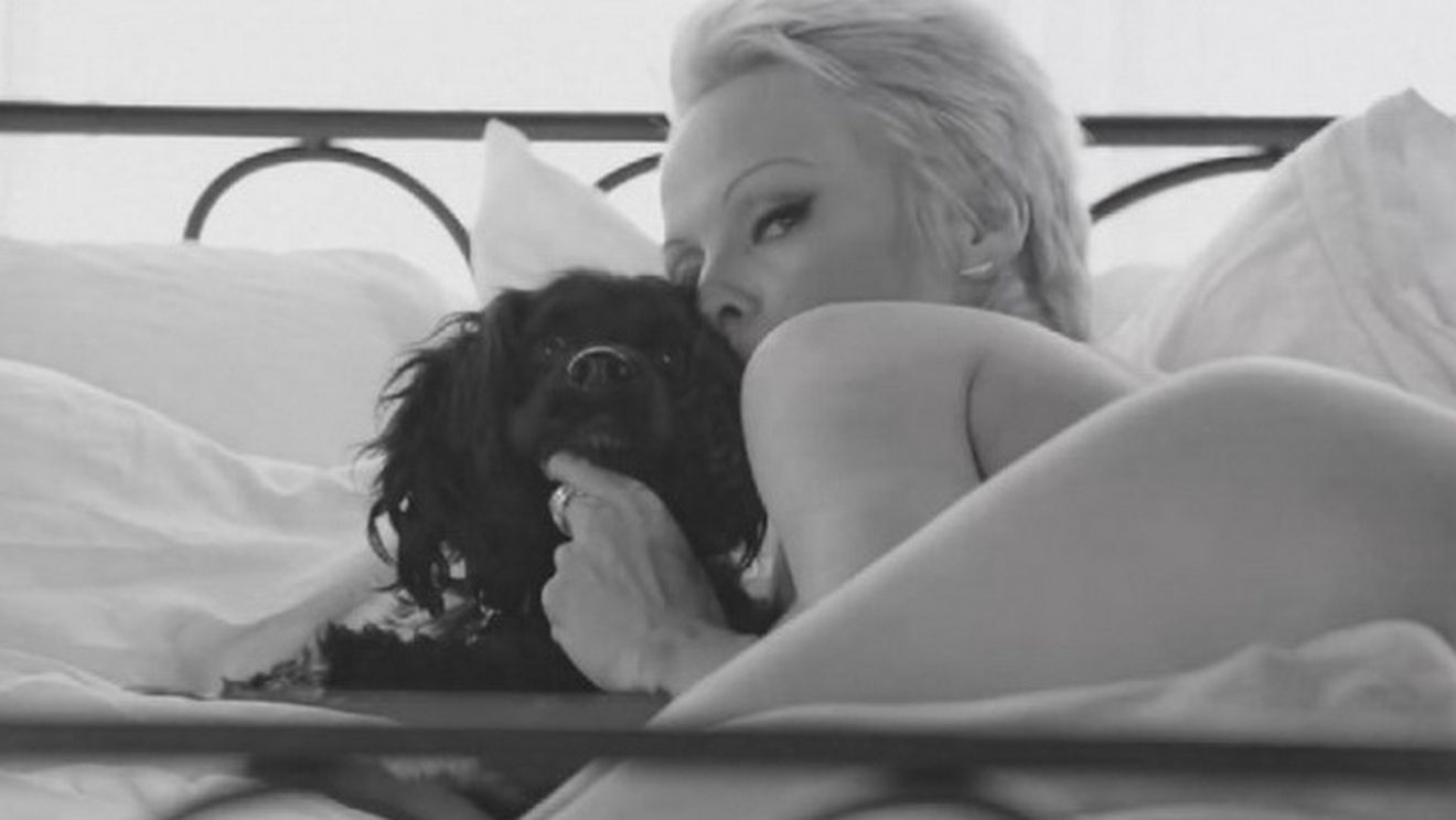 Pamela Anderson are 46 de ani si parca a oprit timpul in loc: Arata BESTIAL si s-a dezbracat din dragoste pentru caini! VIDEO