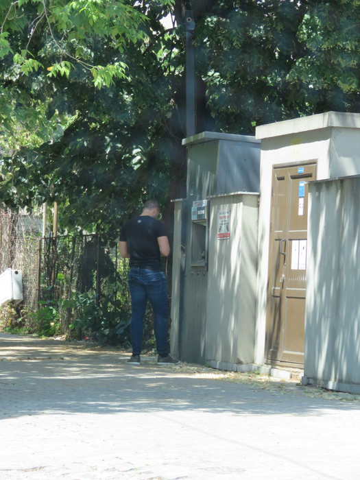 Tristan Tate este noul bărbat din viața Biancăi Drăgușanu