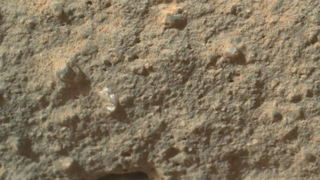 Există viaţă pe Marte? Staţia spaţială NASA, Curiosity, a fotografiat ceea ce pare a fi o floare! Voi ce credeţi?