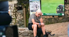 Galerie foto - poza 4