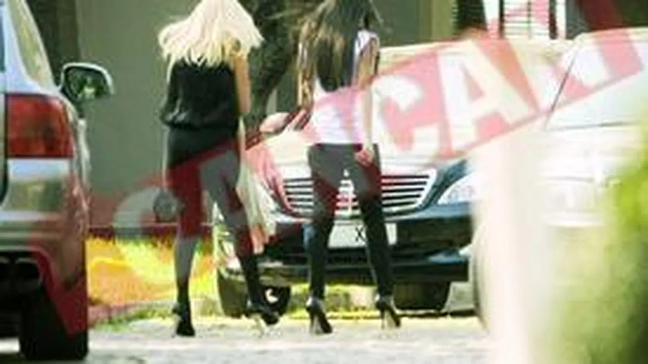 S-au reconciliat Elenele lui Basescu