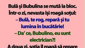 BANC | Bulă și Bubulina se mută la bloc