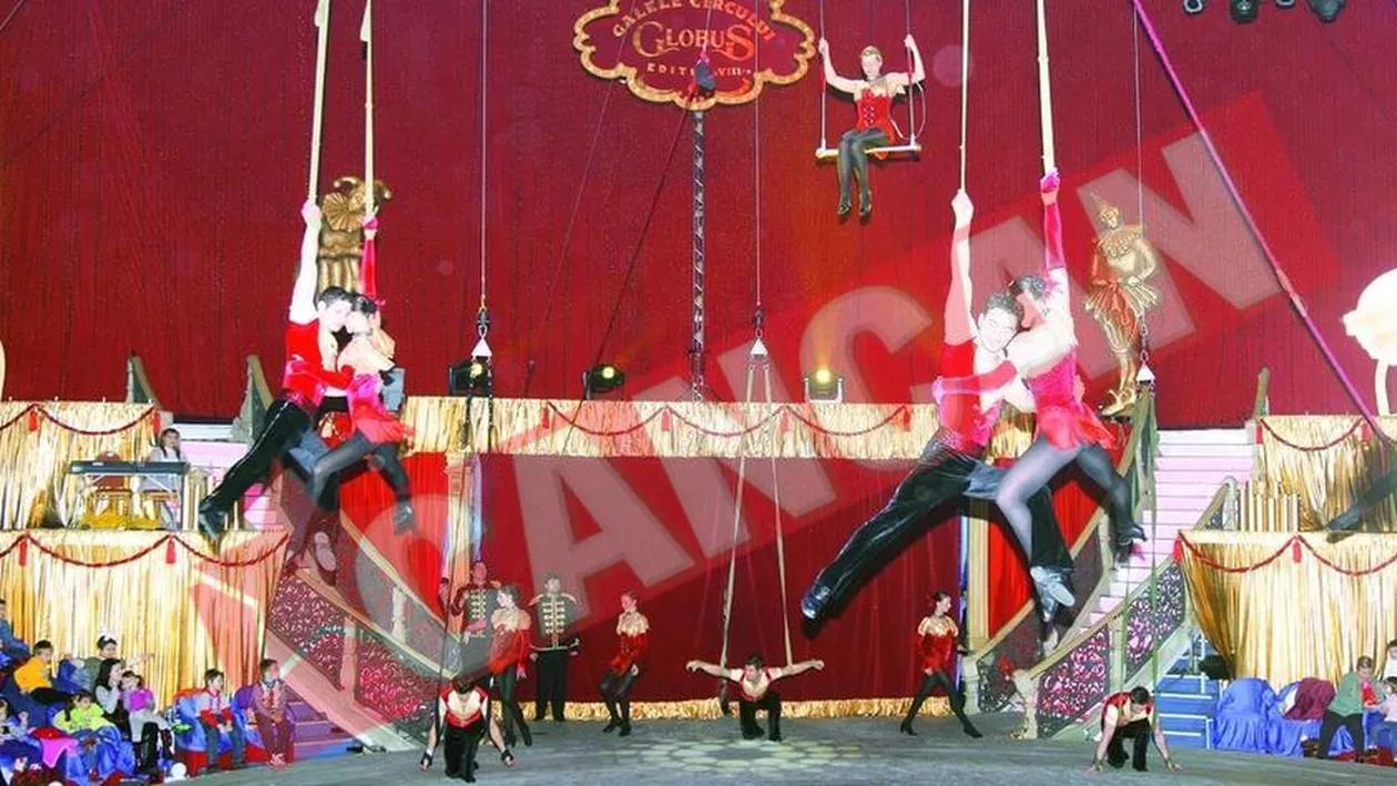 Tangou la 17 metri inaltime