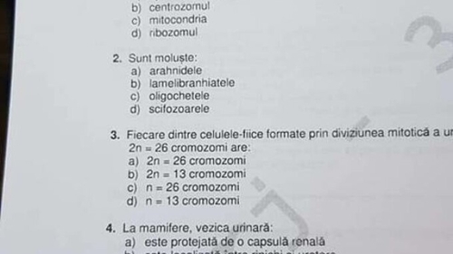 Bacalaureat 2022 | Rezolvarea subiectelor la biologie, a treia probă de la BAC