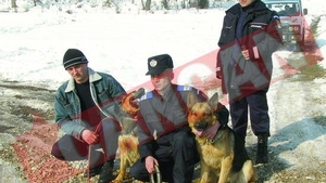 Antrenati sa salveze oamenii din avalanse