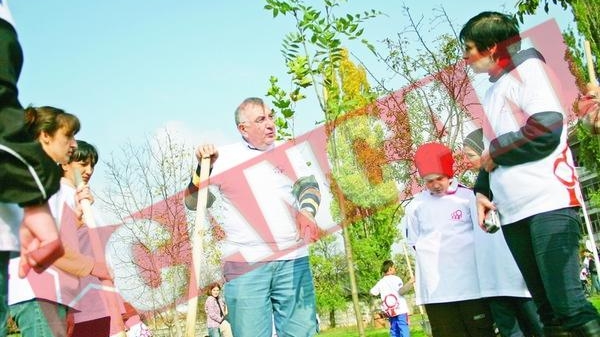 Parcul Pajura, "Impadurit" cu doua sute de frasini