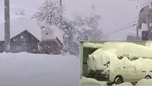 Japonia, în stare de alertă din cauza ninsorilor record! Zăpadă 2 metri în unele zone și peste 10.000 de gospodării fără curent | VIDEO