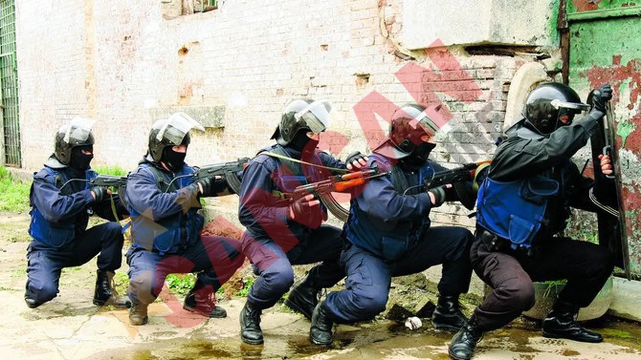 Ei tin in frau 1.200 de puscariasi