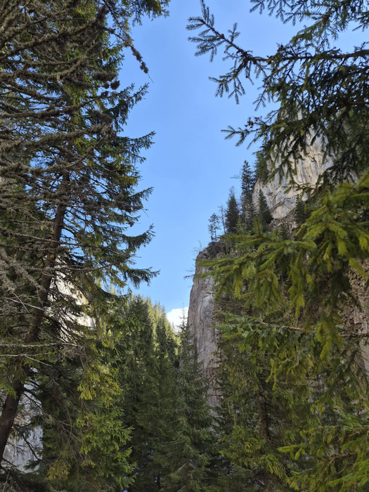 Sursa foto: Facebook Peştera Ialomiţei - Bucegi