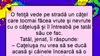 BANC | Tatăl, fetița și cei doi căței