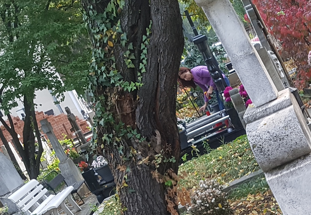 Elena, văduva lui Fane Spoitoru, merge des la mormântul soțului
