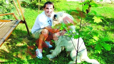 Hartuit de asociatiile de protectia animalelor