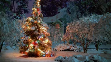 Cum va fi vremea de Crăciun şi de Revelion! Anunţul meteorologilor