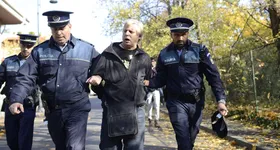 Galerie foto - poza 1