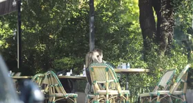 Galerie foto - poza 3