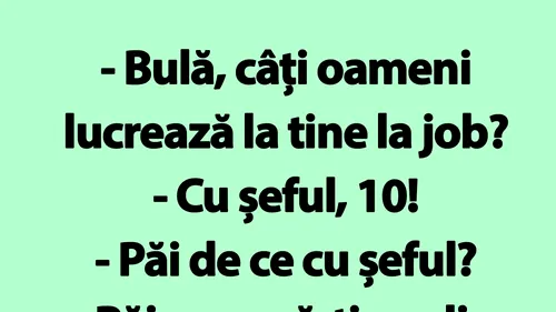 BANC | Bulă, câți oameni lucrează la tine la job?