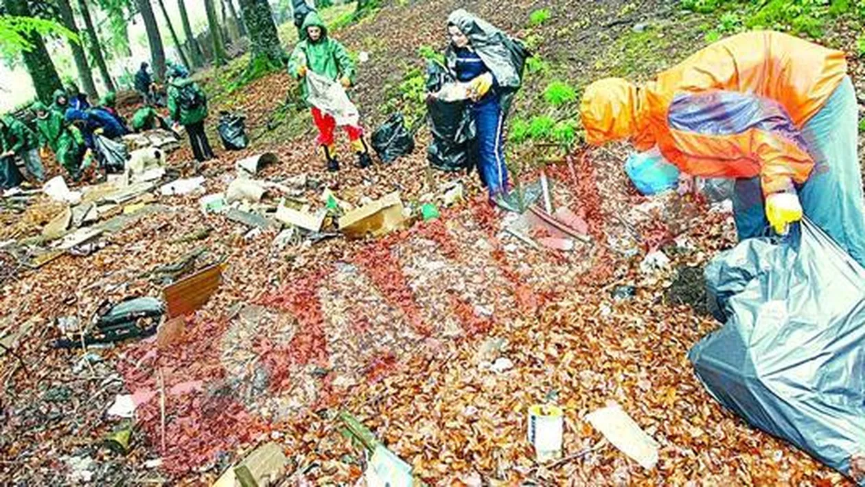 A strans cinci saci de gunoi