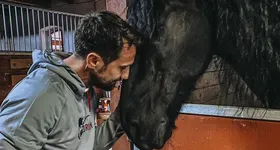 Galerie foto - poza 4